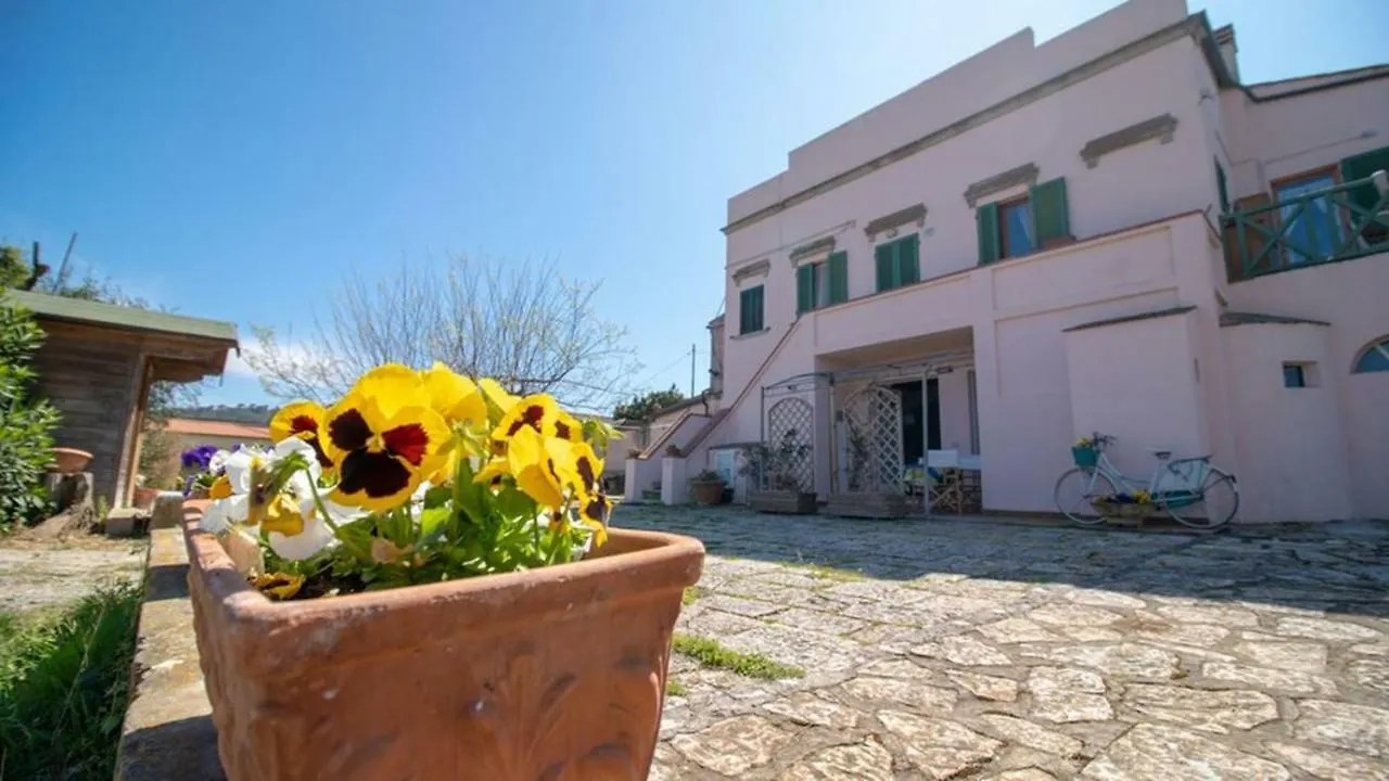 Monolocale Le Terme Apartment Portoferraio